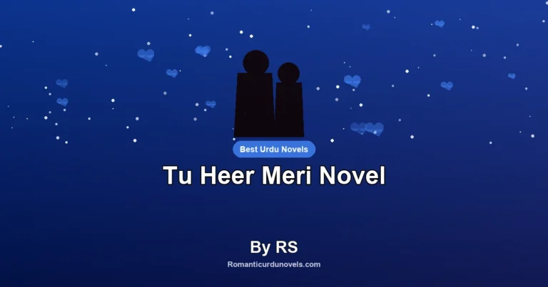 Tu Heer Meri Novel By RS