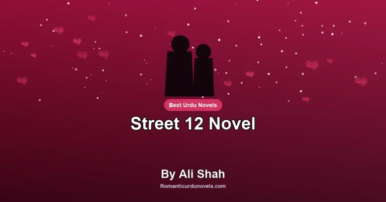 Street 12 Novel By Ali Shah