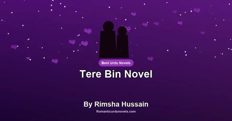 Tere Bin Novel By Rimsha Hussain