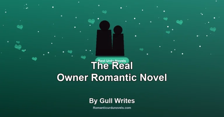 The Real Owner Romantic Novel By Gull Writes